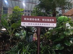 -白桦林温泉谷