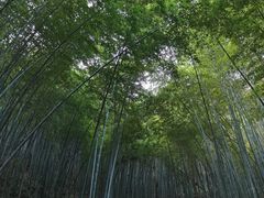 -敬亭山风景名胜区