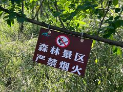 -天怡·鱼工厂(梅溪湖店)
