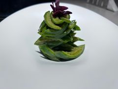 -三利音·浦之舟(滨江大道店)