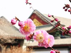 -北海公园