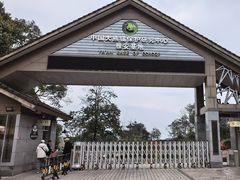 -中国大熊猫保护研究中心雅安碧峰峡基地