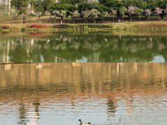 -香山湖公园