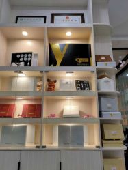 -DEM缔怡美科技美容