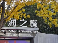 -上海中心大厦