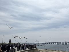 -星海广场