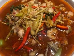 -杨氏青龙虾·羊蝎子(金盛路总店)