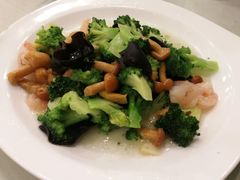 -陶然饺子城(奥体中路店)