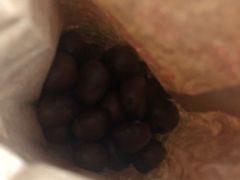 -秋栗香(地安门店)