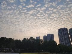 -汉江湾体育公园
