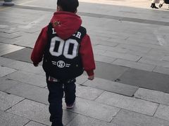 -吉丁鸟咖·异宠·寄养