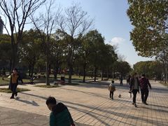 -新江湾城公园