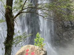 -刘伯温故里景区百丈漈