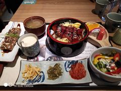 -鳗鳗的爱(远洋未来广场店)