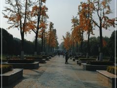 -明故宫遗址公园