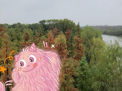 -广富林郊野公园