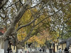 -颐和路民国时期公馆风貌区