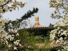 -潭柘寺景区