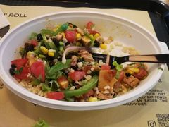 -油梨树 AVOCADO TREE(亮马桥店)