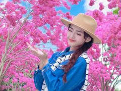 -深圳星河丽思卡尔顿酒店