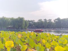 -小王府(什刹海店)