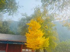 -潭柘寺景区
