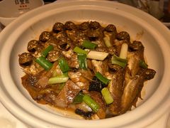 -日丰园海肠水饺·老字号大连海鲜(和平广场店)