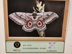 -北京华联购物中心(同成街店)