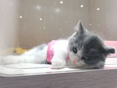 -乐宠宠物店(世纪金源店)