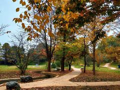 -国家植物园南园