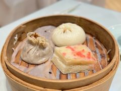 -冶春茶社(珍园店)