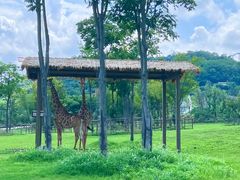 -南京金牛湖风景区