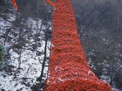 -少华山国家森林公园