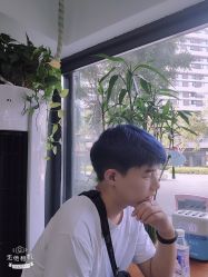 -缪斯造型Muse style