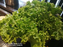 -猪的故事·韩式烤肉(韩乐坊店)