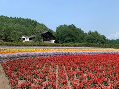 -富田农场