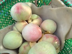 -老袁家蜜桃农场·阳山水蜜桃