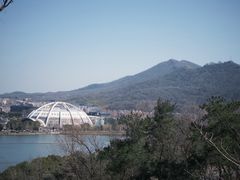 -九华山公园