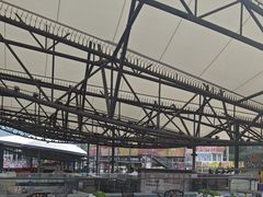 -移动谜城·大笨象密室逃脱(五棵松店)