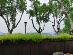 -青竺·青竹茶舍(断桥店)