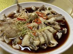 -煲来饱去冷水鱼