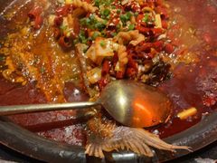 -探鱼·鲜青椒爽麻烤鱼(正佳广场店)