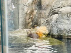 -香港海洋公园