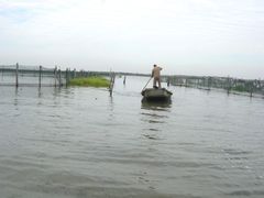 DSC02315-丫丫蟹庄·苏式园林农家乐·阳澄湖大闸蟹(阳澄湖莲花岛店)