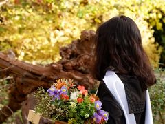 -牛津大学贝利奥尔学院