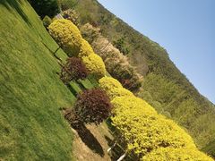 -棒棰岛宾馆景区