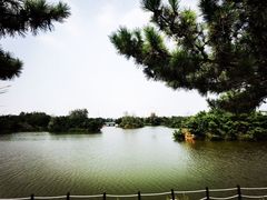 -日照海滨国家森林公园