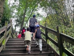 -凤栖山