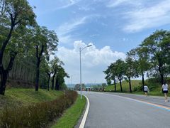 -露天矿生态公园