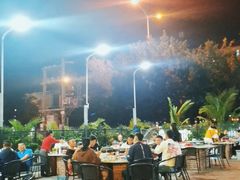 -墨脱石锅椰子鸡•香草鸭•东山羊(大东海店)